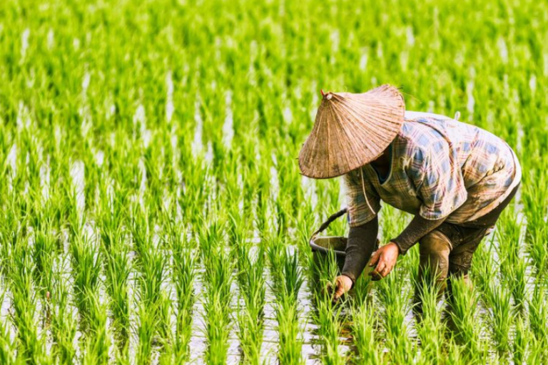 screenshot 2024 10 01 102757 768x512